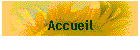 Accueil