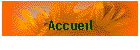 Accueil